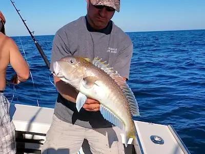 Angler shows of nice tilefish.