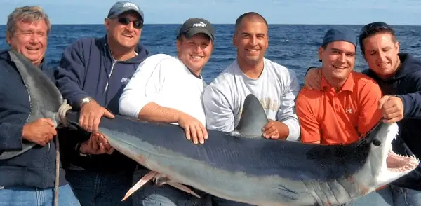 Fish Trap deep sea big game crew boats a large mako shark.